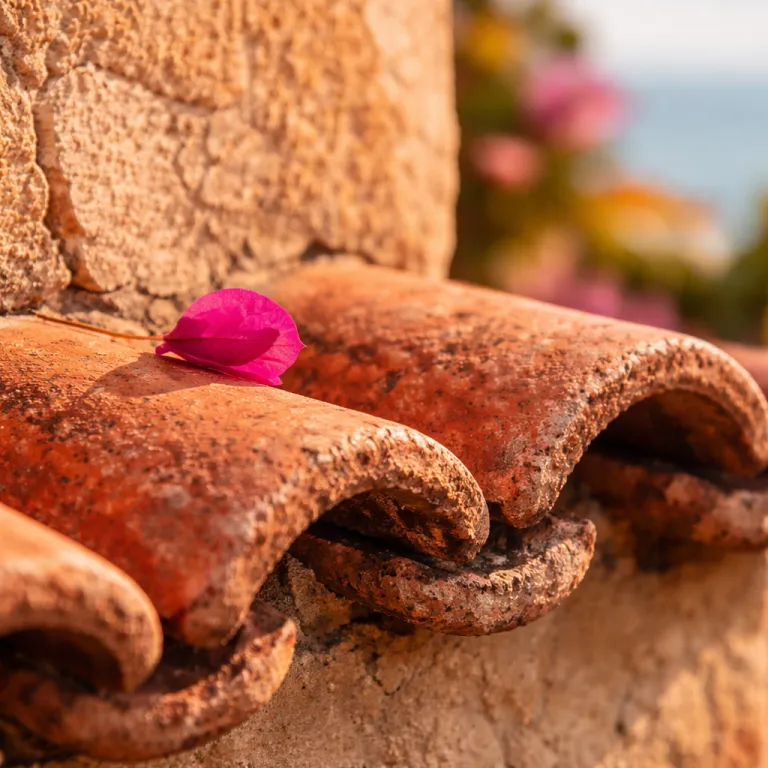 The Côte d'Azur Villa Season 2026: What's New and Who's Raising the Bar